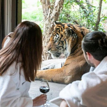 Big Cat Bungalows At The Haven - Lion 2 Canastota Buitenkant foto