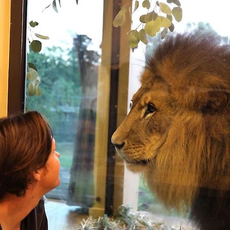 Big Cat Bungalows At The Haven - Lion 2 Canastota Buitenkant foto