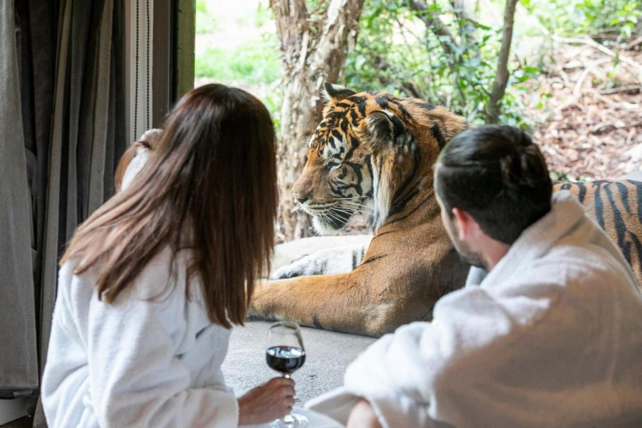 Big Cat Bungalows At The Haven - Lion 2 Canastota Buitenkant foto